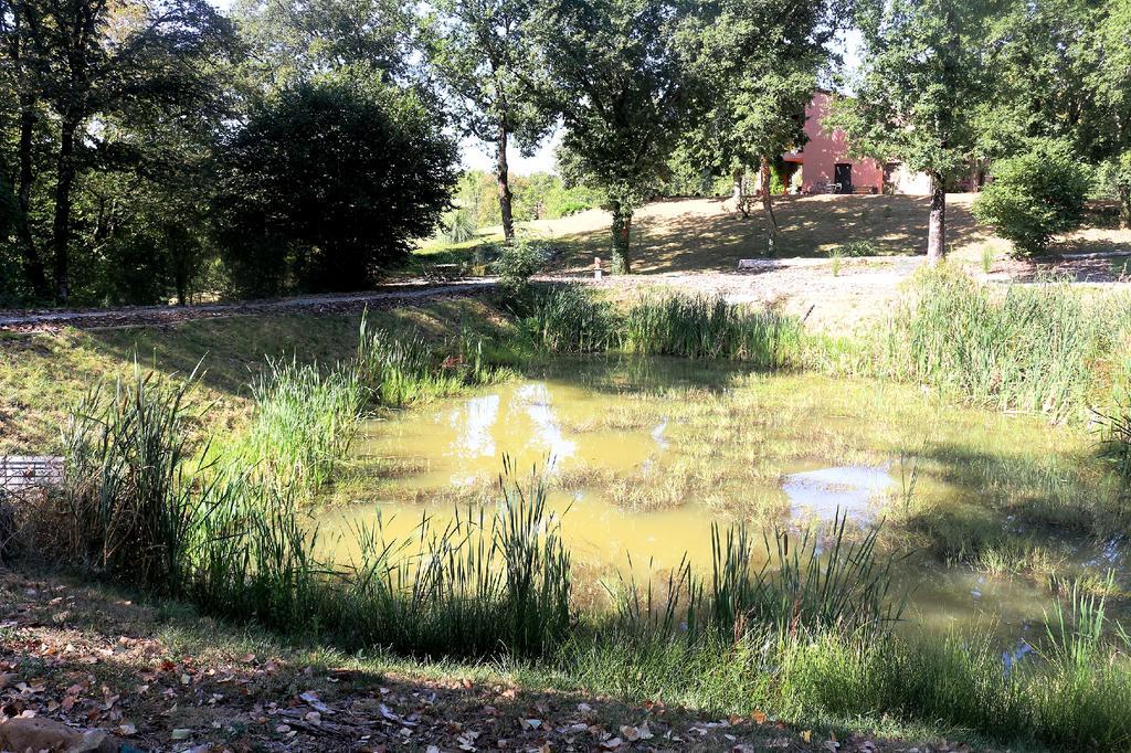 Domaine Les Causeries Laguépie Exteriér fotografie
